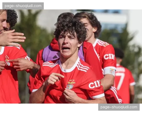 本菲卡28轮联赛保持不败 从落后7分追至只差4分显韧性