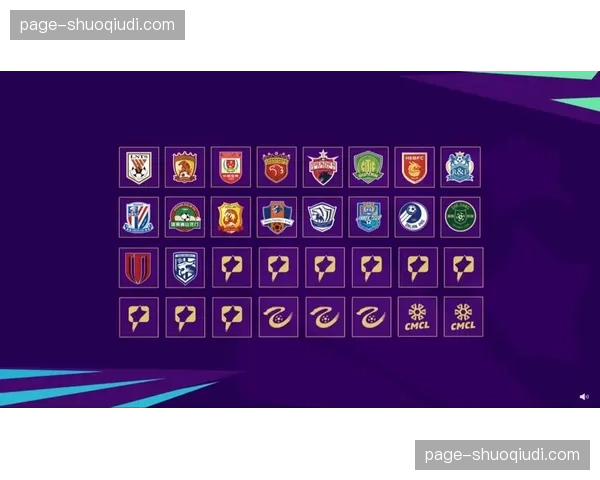 山东泰山客场胜率不足五成 主客场表现差异明显